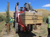 La cosecha de manzanas en Nueva Zelanda crecerá 12%