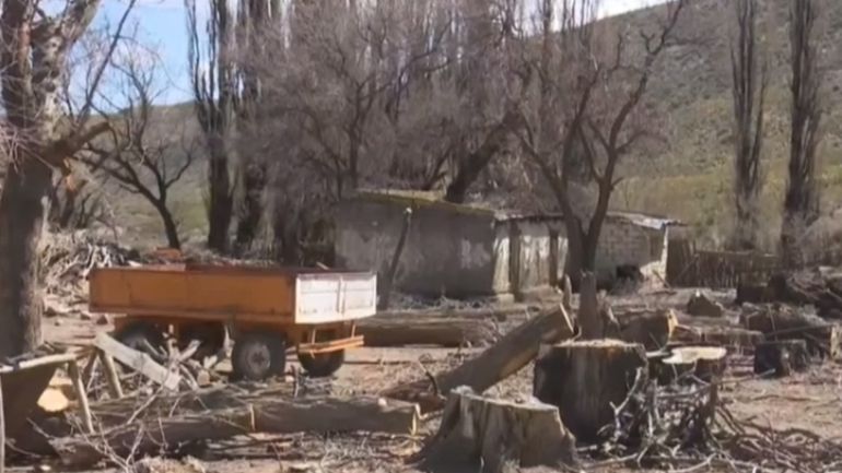 Los padres de los chicos que asisten a la escuela aseguraron que habían hecho el reclamo para que realizaran mantenimiento de los árboles caídos. Los padres de los chicos que asisten a la escuela aseguraron que habían hecho el reclamo para que realizaran mantenimiento de los árboles caídos.