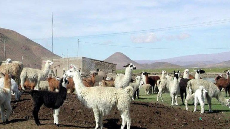 En este lugar de Rinconada se produjo la tragedia.