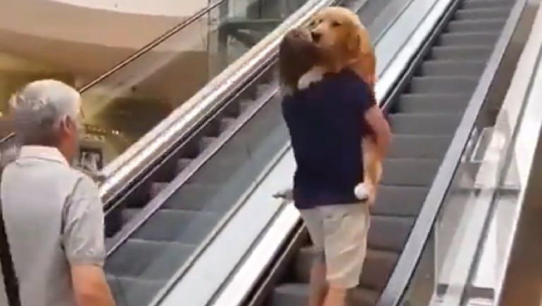 Un perrito teme a escaleras eléctricas y es viral en Twitter