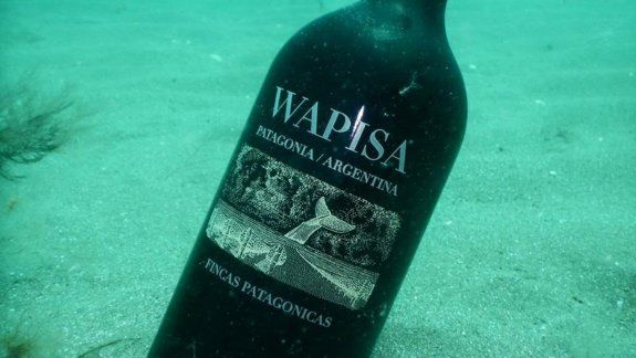Crianzas atípicas: desde el mar patagónico a las minas de Jujuy