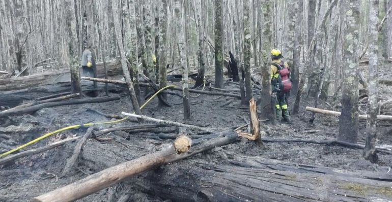 El incendio ocurrió a pocos metros de la casa del guardaparques que intervino en la clausura del camping del lago Falkner