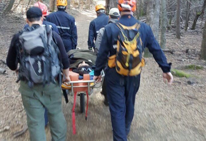 Rescataron a una turista accidentada en el bosque de Arrayanes