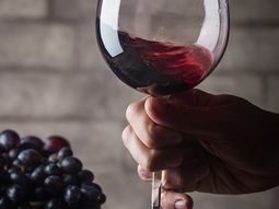 Lanzan un vino que no es vino y sin embargo funciona Lanzan un vino que no es vino y sin embargo funciona