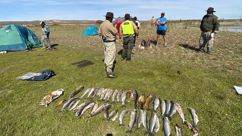 Secuestraron más de 70 pescados durante un operativo en Limay Medio