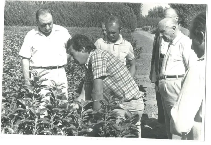 Visita técnica en su vivero Los Álamos de Rosauer en Villa Manzano, año 1972. Foto: gentileza familia Rosauer. Visita técnica en su vivero Los Álamos de Rosauer en Villa Manzano, año 1972. Foto: gentileza familia Rosauer.