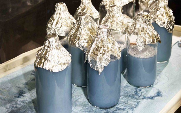 Vacuna contra el coronavirus podría necesitar de un cangrejo