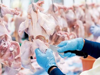 El mercado europeo reabre tras meses de restricciones sanitarias. El mercado europeo reabre tras meses de restricciones sanitarias.