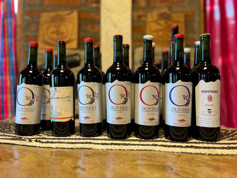 Parte de la línea de vinos de bodega Desde La Torre. Parte de la línea de vinos de bodega Desde La Torre.