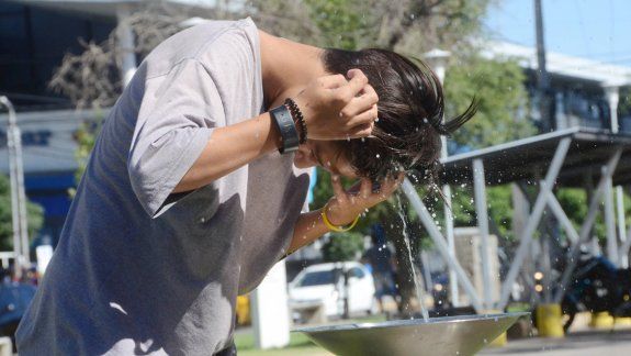 Las altas temperaturas no dan tregua en el comienzo de febrero.