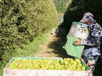 Productores tendrán más tiempo para pagar el préstamo y podrán acceder nuevamente al fondo para cubrir tareas de postcosecha. Productores tendrán más tiempo para pagar el préstamo y podrán acceder nuevamente al fondo para cubrir tareas de postcosecha.