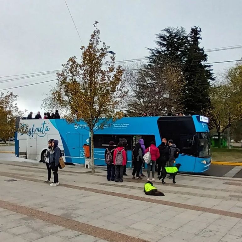 Bus turístico de Neuquén. Bus turístico de Neuquén.