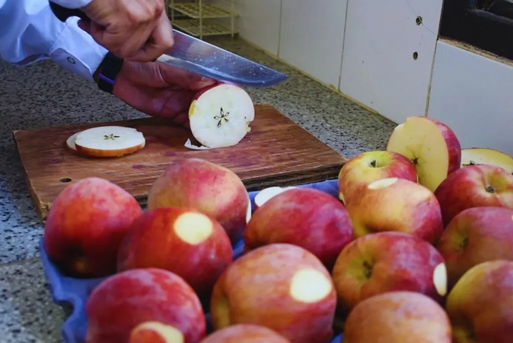 Las condiciones climáticas extremas influyen sobre el momento y la dinámica de la maduración. Foto: INTA. Las condiciones climáticas extremas influyen sobre el momento y la dinámica de la maduración. Foto: INTA.