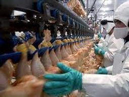 La Argentina recupera otro de exportación para productos avícolas.
