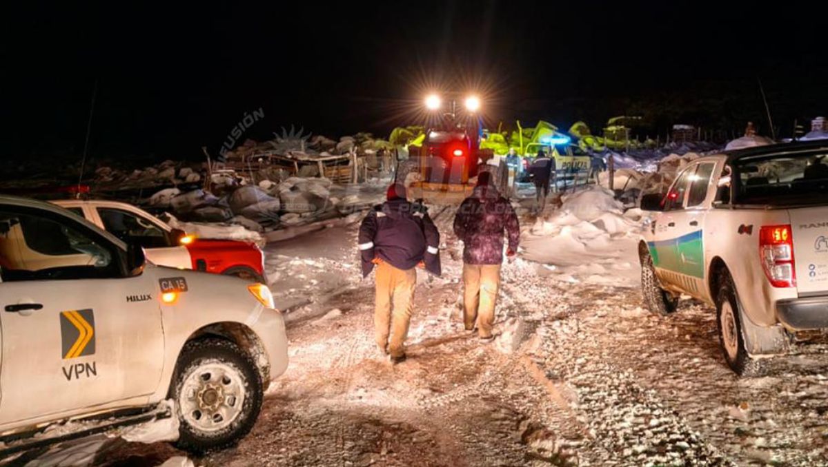 Más de 20 personas trabajaron en plena madrugada para salvar la vida de las víctimas.&nbsp;