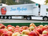 Europa: recortan fondos para promoción
