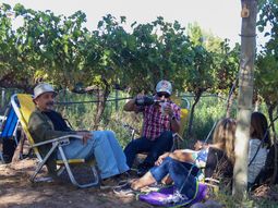 La vendimia neuquina está por comenzar. La vendimia neuquina está por comenzar.