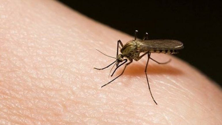 Detectan un caso de dengue en la provincia