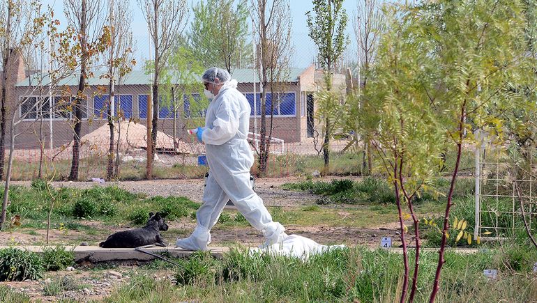 Femicidio en Centenario: el exnovio de Gisela será acusado