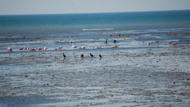 Hace 17 años que vecinos organizan una viaje de 16 kilómetros a pie por la playa. Una experiencia inolvidable.