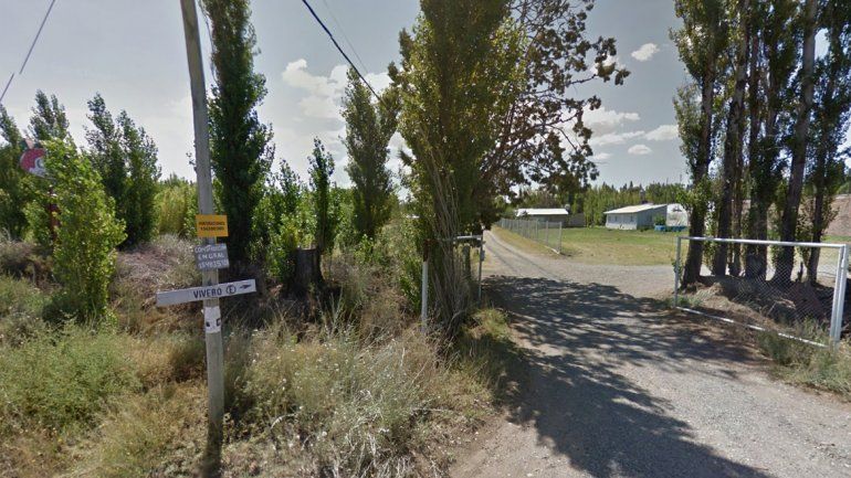 Una yegua casi muere entumecida tras permanecer toda una noche en una piscina