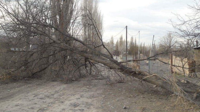 Tres alertas meteorológicas afectan a Neuquén y Río Negro