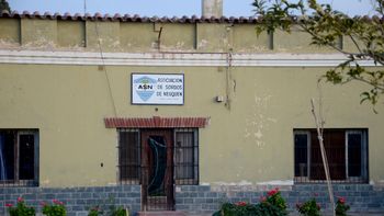Ladrones robaron y pararon a comerse las naranjas de un compost