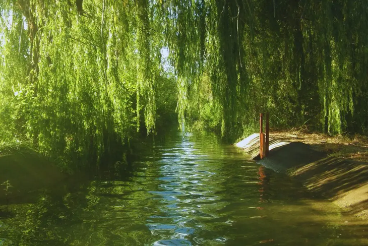 Analizar la calidad del agua para uso agrícola es uno de los aspectos fundamentales en la inocuidad de las frutas de pepita. Foto: INTA Analizar la calidad del agua para uso agrícola es uno de los aspectos fundamentales en la inocuidad de las frutas de pepita. Foto: INTA