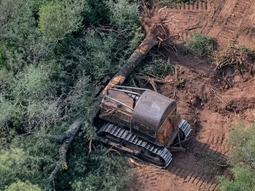 europa endurece reglas ambientales y argentina queda mal posicionada europa endurece reglas ambientales y argentina queda mal posicionada