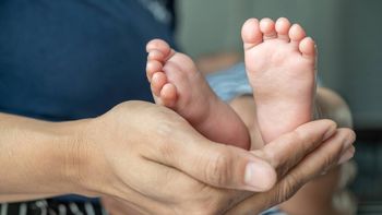 neuquinos de primera generacion: 4 de cada 10 bebes tienen padres de otros lugares