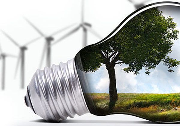 Alumnos de quinto grado aprenden sobre el uso racional de la energía