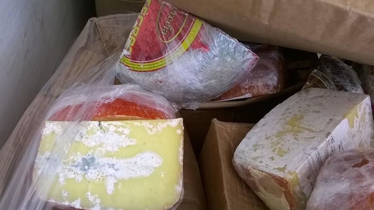 secuestran más de 750 kilos de quesos vencidos que traían a neuquén