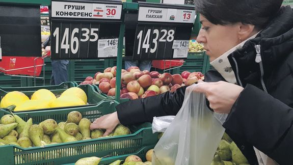 Rusia concentra el 45% del total de las exportaciones que salen por el puerto de SAE