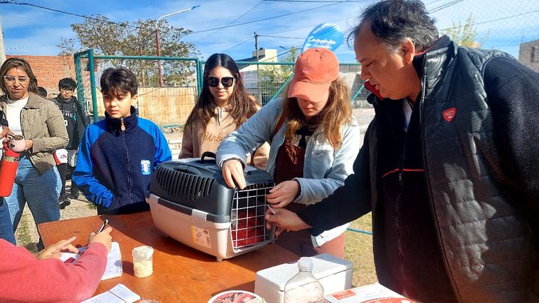 El operativo de vacunación de mascotas. El operativo de vacunación de mascotas.