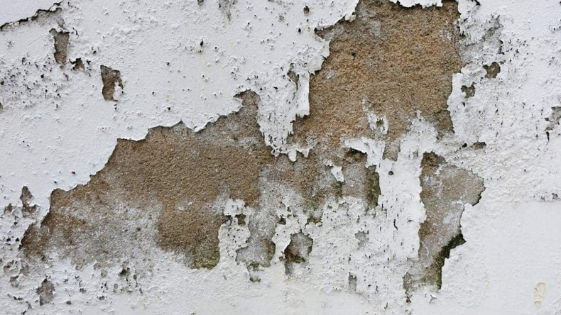 Cómo recuperar una pared carcomida por la humedad: el paso a paso sin llamar a un albañil | LM Neuquen Cómo recuperar una pared carcomida por la humedad: el paso a paso sin llamar a un albañil