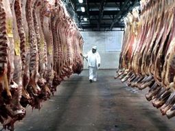 Nueva medida, ahora las retenciones cero son para las carnes. Nueva medida, ahora las retenciones cero son para las carnes.