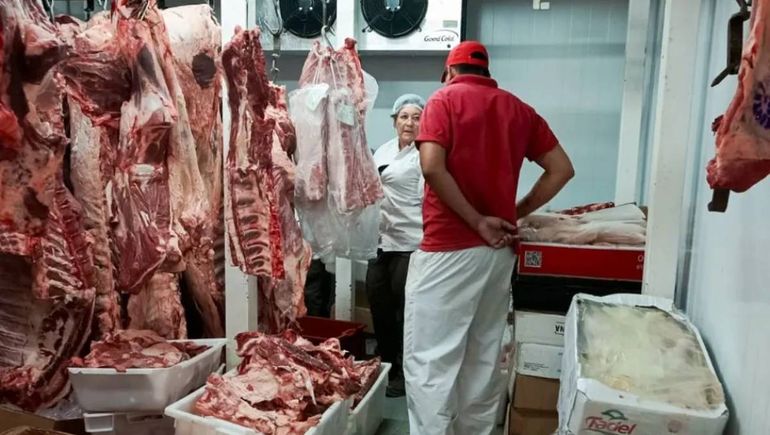 Decomisaron 650 kilos de carne en mal estado en carnicerías de Plottier