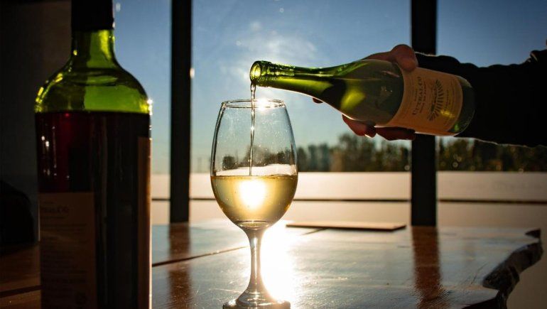 Los vinos de la BodegaCutral Co Agua de Fuego estarán en la Fiesta Nacional del Chef.