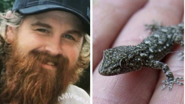 Apostó que podía comerse una largartija y murió