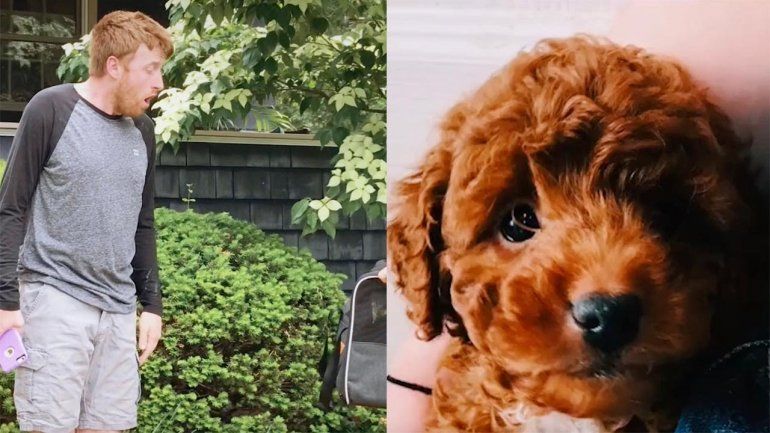 El clip no deja de sumar reproducciones en YouTube