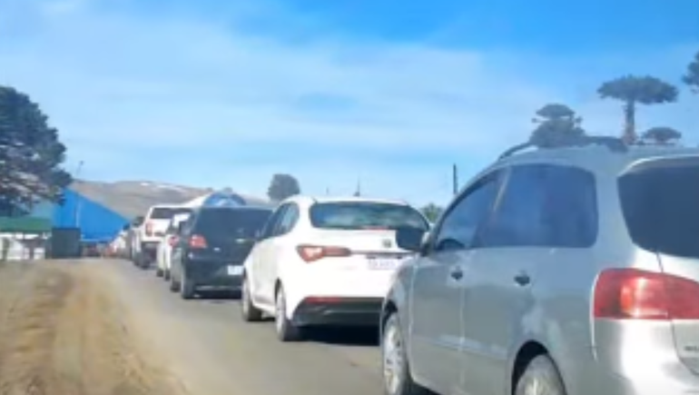 Largas filas se veían en horas de la mañana en Pino Hachado para cruzar a Chile