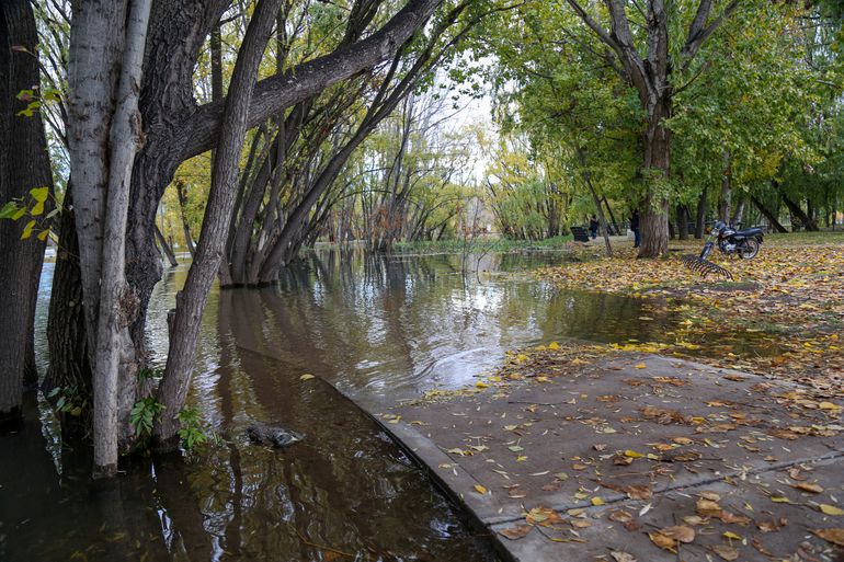 En 13 fotos: así se ve la crecida del Limay en el Paseo de la Costa