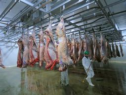 El acuerdo con Estados Unidos impulsa las exportaciones, pero el aumento del novillo y la escasez de oferta ya presionan los precios. El acuerdo con Estados Unidos impulsa las exportaciones, pero el aumento del novillo y la escasez de oferta ya presionan los precios.