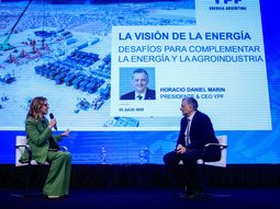 Horacio Marín, ayer, anunciando la oficialización de YPF de desprenderse de los negocios del agro. Horacio Marín, ayer, anunciando la oficialización de YPF de desprenderse de los negocios del agro.