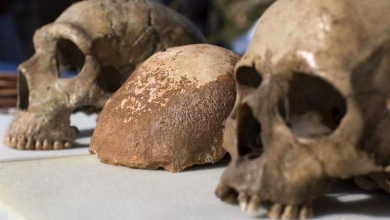 Los Homo Sapiens no habrían sido los primeros en usar herramientas