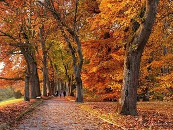 El equinoccio marca el inicio del otoño en el hemisferio sur y establece un equilibrio entre la duración del día y la noche. El equinoccio marca el inicio del otoño en el hemisferio sur y establece un equilibrio entre la duración del día y la noche.