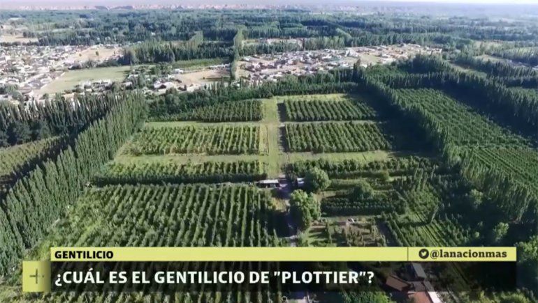 El gentilicio de Plottier: un misterio que llegó a los medios nacionales