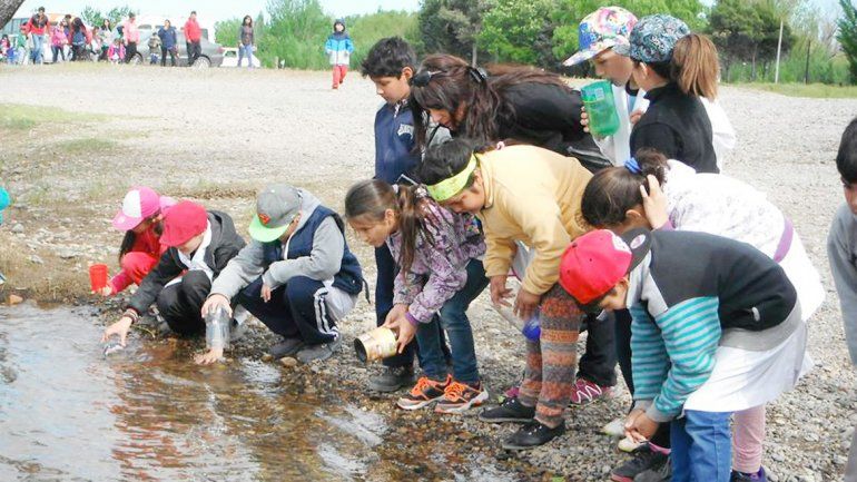 Los chicos se entusiasmaron al liberar los alevinos en el Limay.