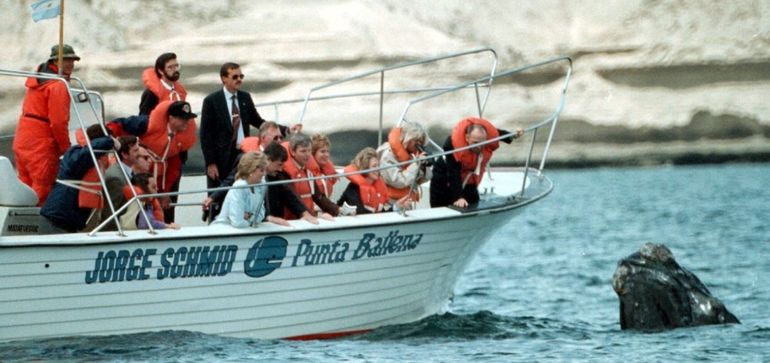 Lady Diana Spencer en 1995, durante un avistaje de ballenas en la Patagonia. Lady Diana Spencer en 1995, durante un avistaje de ballenas en la Patagonia.