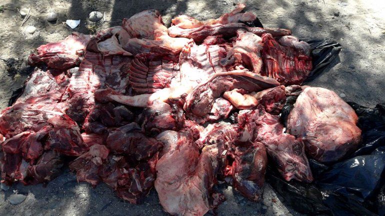 Decomisaron 450 kilos de carne ilegal en dos camionetas de alta gama